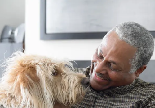 How Pet Therapy Can Improve Seniors’ Moods